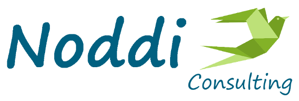 logo NODDI Consulting